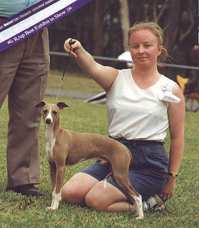 Ralph Runner up in Show