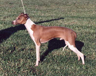 Ricky 7 mths