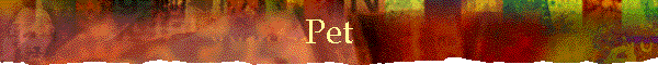 Pet