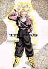 Trunks13.jpg (153085 bytes)