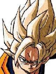 goku.jpg (26496 bytes)