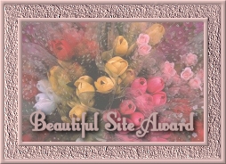 Susan's Place Beautiful Site Award