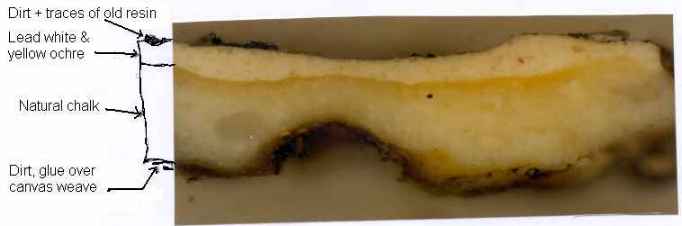 Cross-section D606 -UCL01