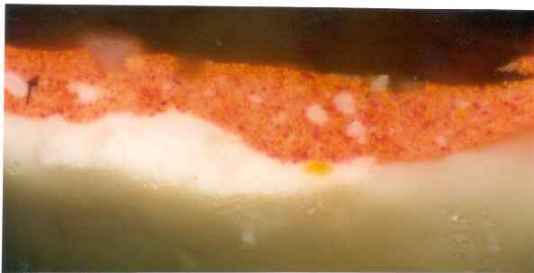Cross-section D613 x4000 -UCL11