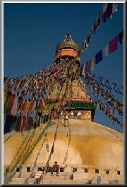 Swyambhu