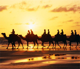 One should avoid evil like a merchant with much goods and only a small escort avoids a dangerous road