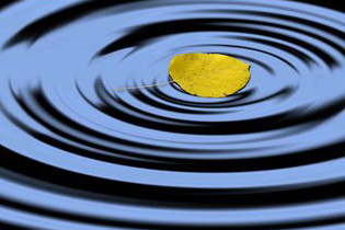 The wise find peace on hearing the truth, like a deep, clear, undisturbed lake