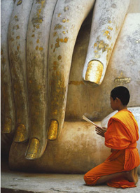 I take refuge to the Buddha, Dharma and Sangha