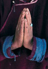May all sentient beings be free from samsara