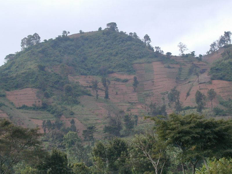 KIlima