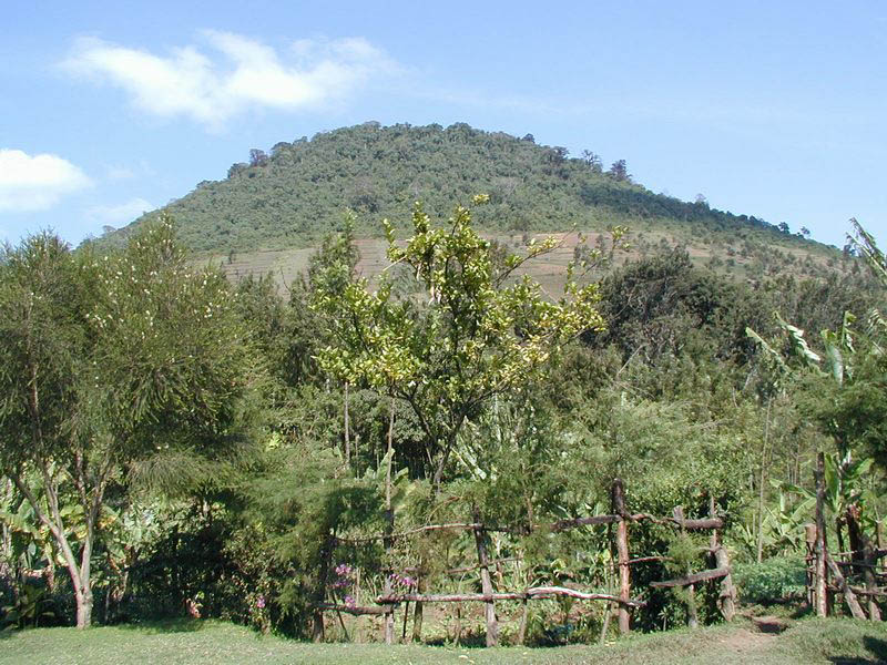 kivesihill