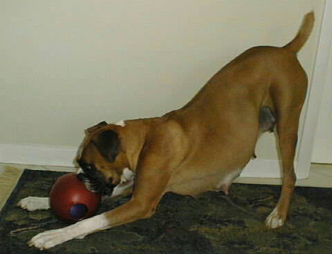 Sadie Playtime