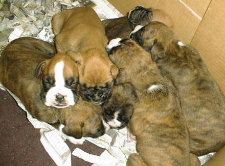 Naptime1