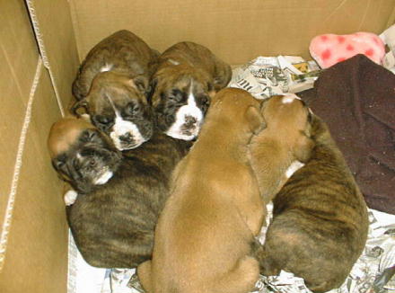 Naptime2