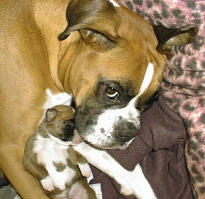 MOM & SON
