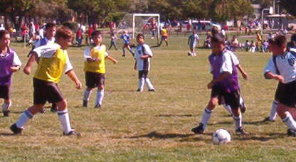 Andrew and Eduardo scored goals for the Sharks