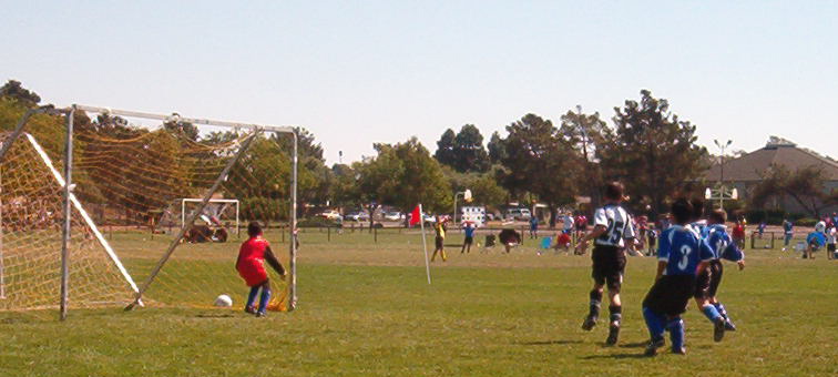 GOOOOOOOOAAAAAAALLLLLL!!!