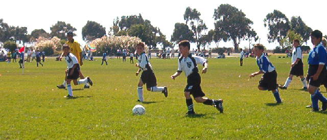 The Sharks scored 7 with goals by Andrew, Austin and Matthew
