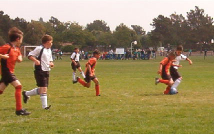 The Sharks scored 9 with goals by Andrew, Eduardo, Nick, Tyler and Matthew