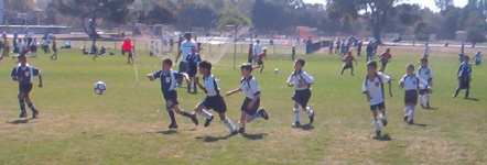 a hard played loss 5 - 0