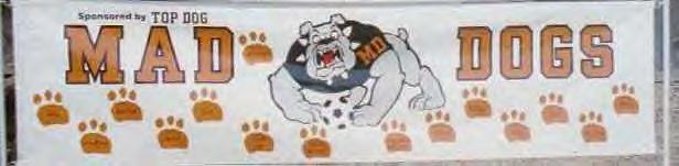 2001-2002 Mad Dogs