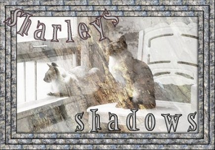 ~sharleys~shadows~