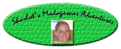 Sharlot's Madagascar Adventures