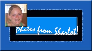 Photos from Sharlot
