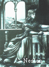 w9.gif (128761 bytes)