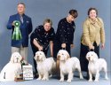 Invergordon Kennels