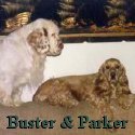 Buster & Parker