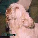 Chance