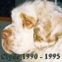 Clyde 1990 - 1995