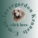Click Here to E-mail: Invergordon Kennels