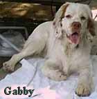 Gabby