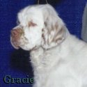 Brody