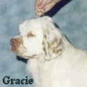 Brody