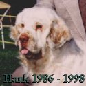 Hank 1986 - 1998