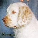 Hanna
