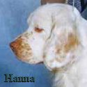 Hanna