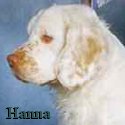 Hanna