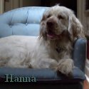 Hanna