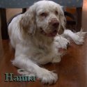 Hanna