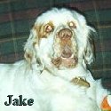Jake