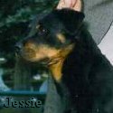 Jessie