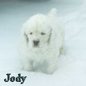 Jody