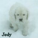 Jody