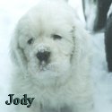 Jody