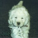 Jody