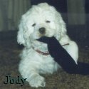 Jody